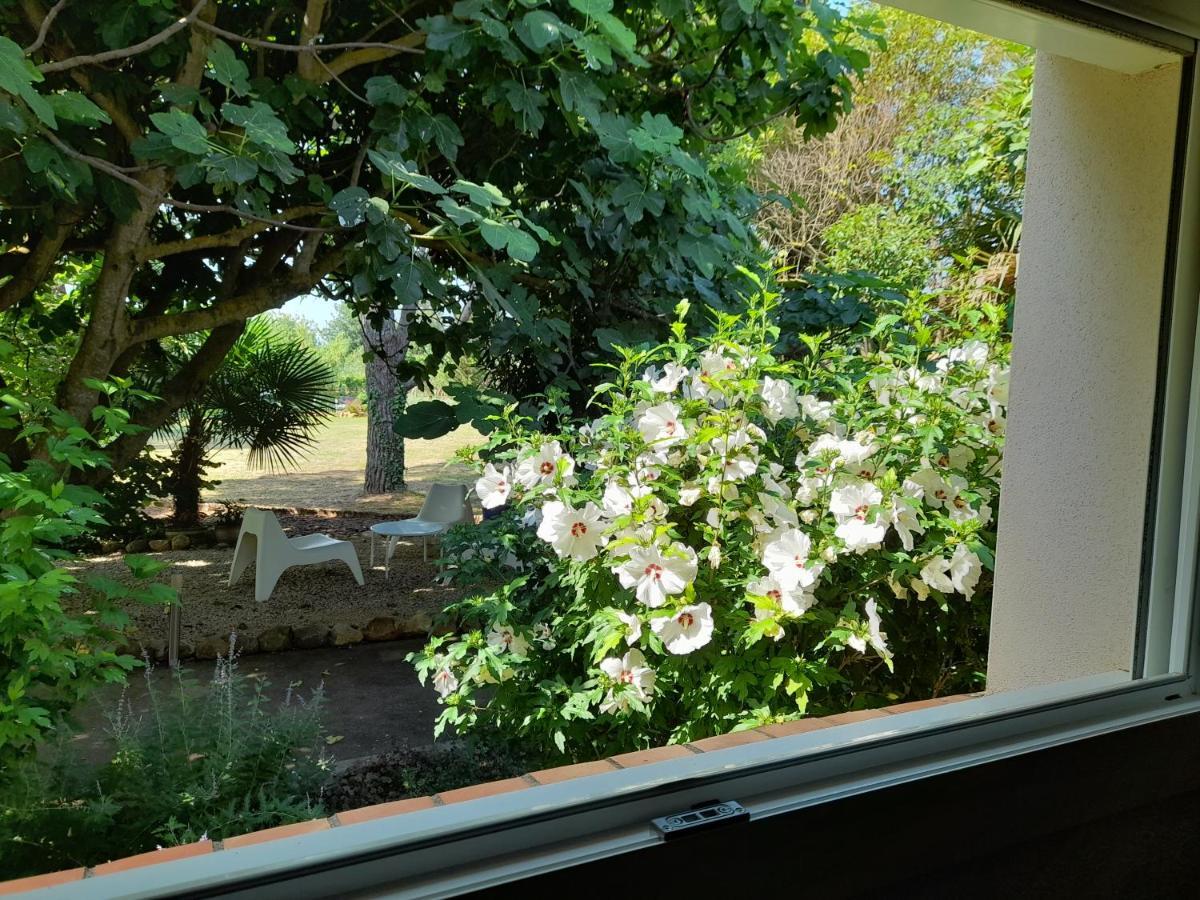 Villa Aigues Vives Boutenac Exterior foto